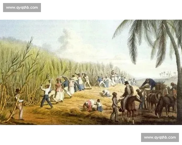 法国与荷兰百年交锋史从战争同盟到足球赛场的宿命对决历史演变全景